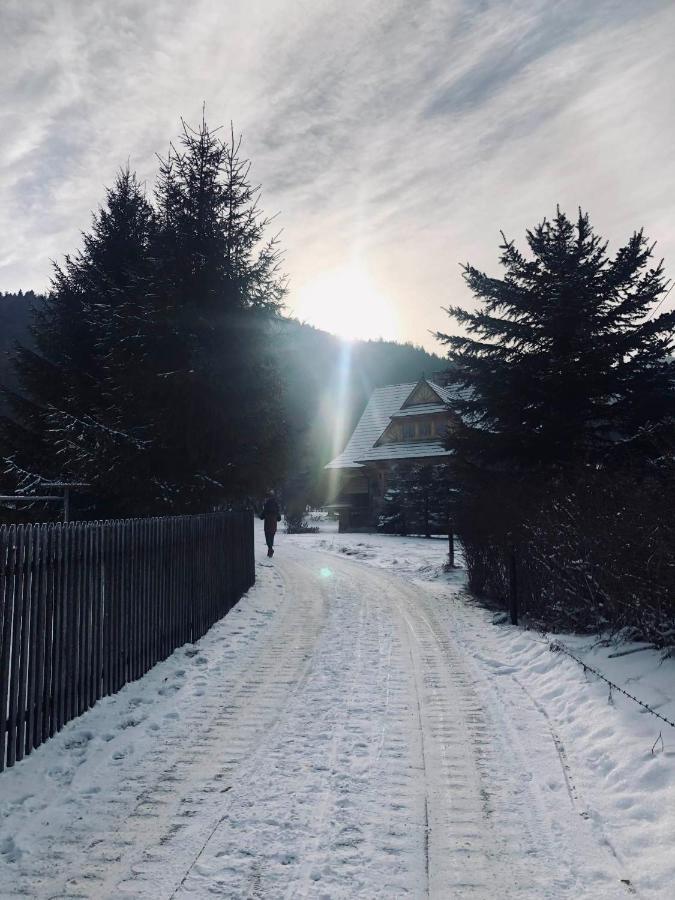 Giewont Mountain View Apartment Zakopane Eksteriør bilde